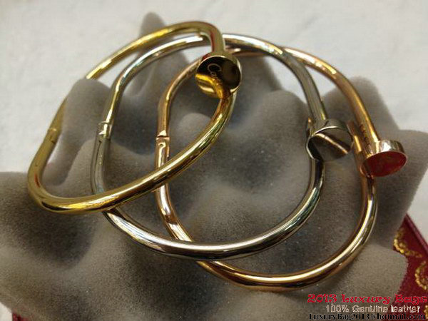 Cartier Juste Un Clou Bracelet CT001_3