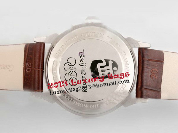 Omega Seamaster Replica Watch OM8030AH Omega Seamaster Replica Watch OM8030AH