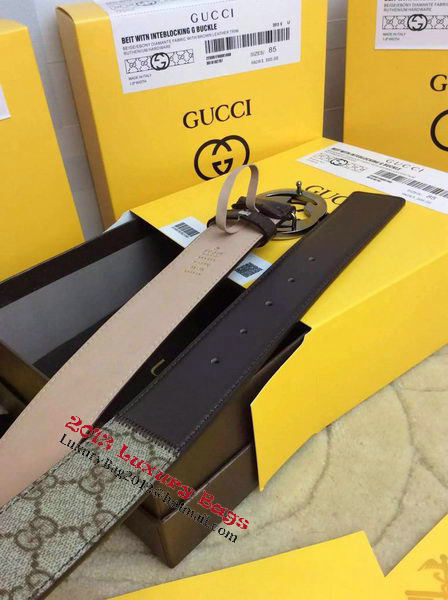 GUCCI Belt G1266 Brown GUCCI Belt G1266 Brown