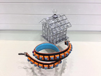 Fendi Long Shoulder Strap FD025 Fendi Long Shoulder Strap FD025