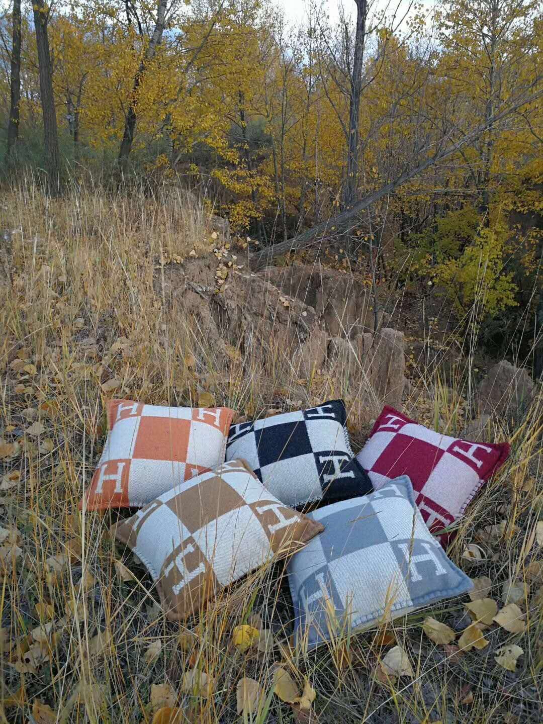 Hermes Pillow 18234 Hermes Pillow 18234