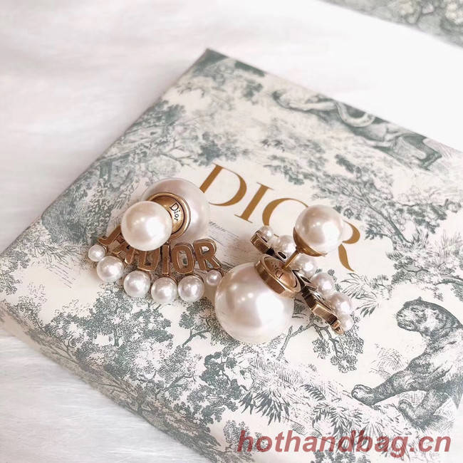 Dior Earrings CE4786
