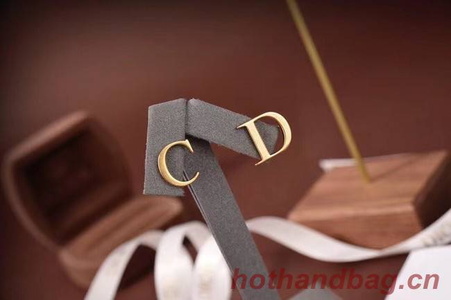 Dior Earrings CE6472