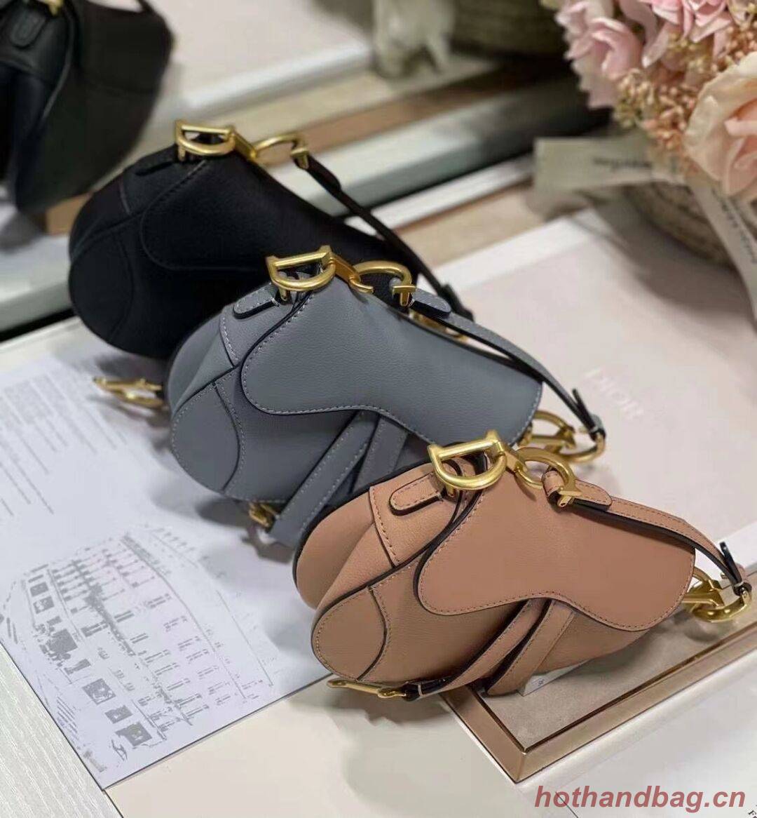DIOR SADDLE BAG mini Goatskin C8160 black DIOR SADDLE BAG mini Goatskin C8160 black