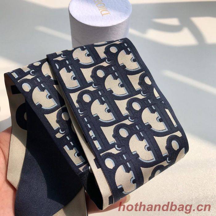 Dior Scarf CD00101 Dior Scarf CD00101