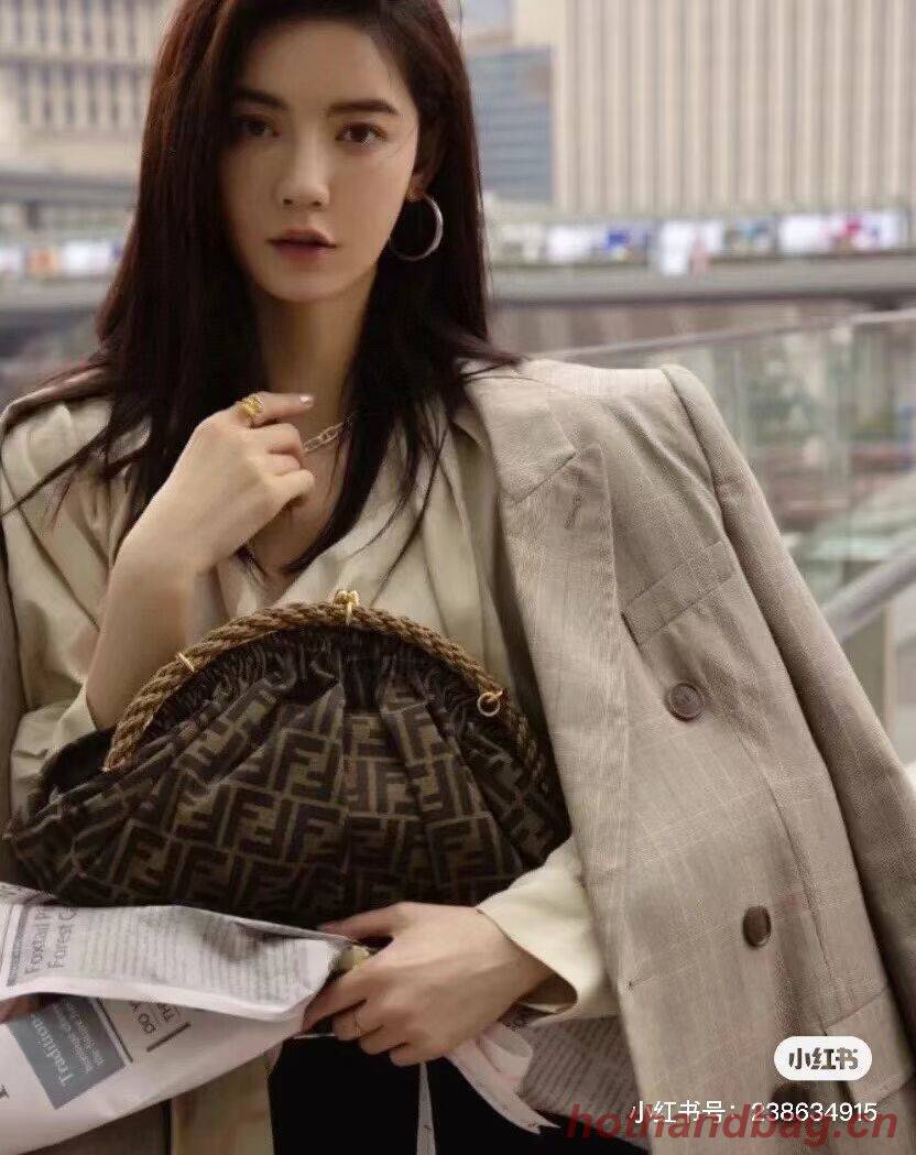 FENDI fabric bag F7641 brown FENDI fabric bag F7641 brown