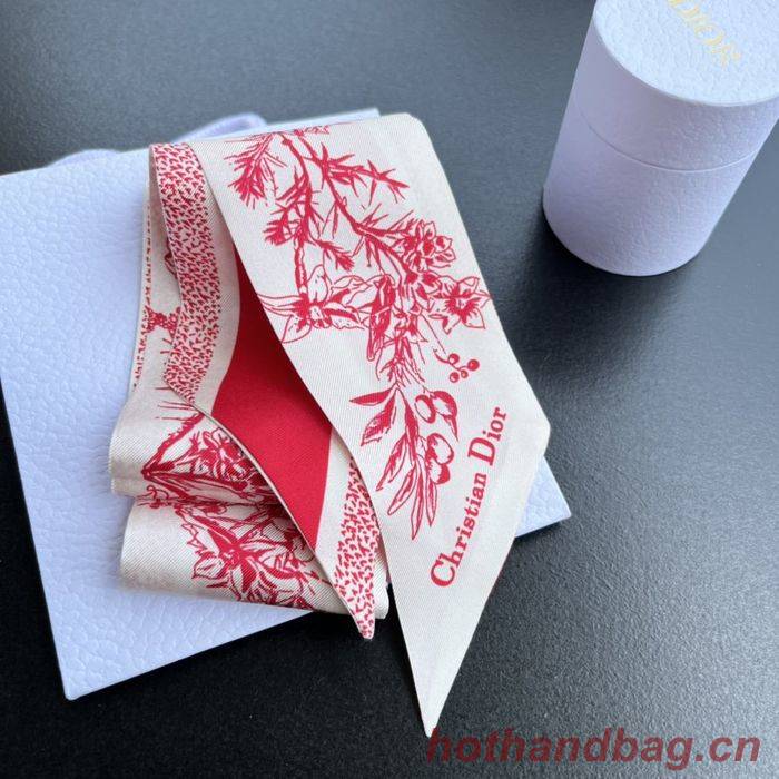 Dior Scarf DIS00004 Dior Scarf DIS00004