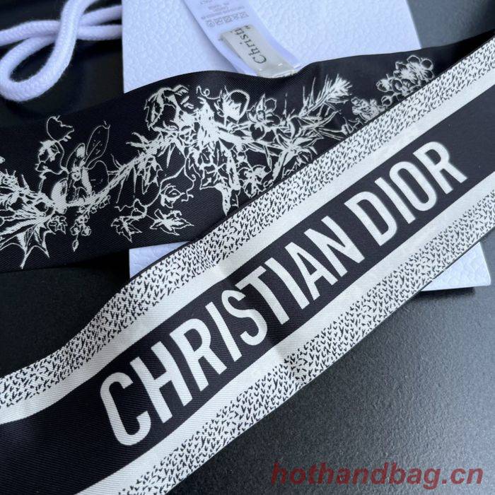 Dior Scarf DIS00005 Dior Scarf DIS00005