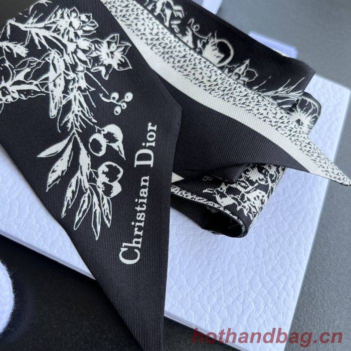 Dior Scarf DIS00005 Dior Scarf DIS00005