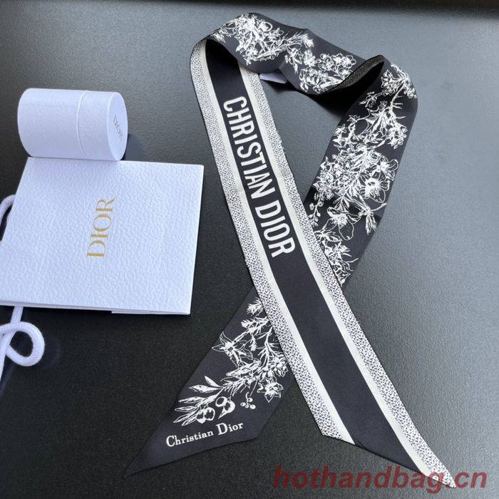 Dior Scarf DIS00005 Dior Scarf DIS00005