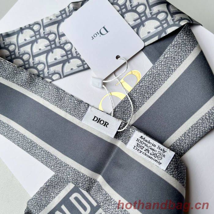 Dior Scarf DIS00013 Dior Scarf DIS00013