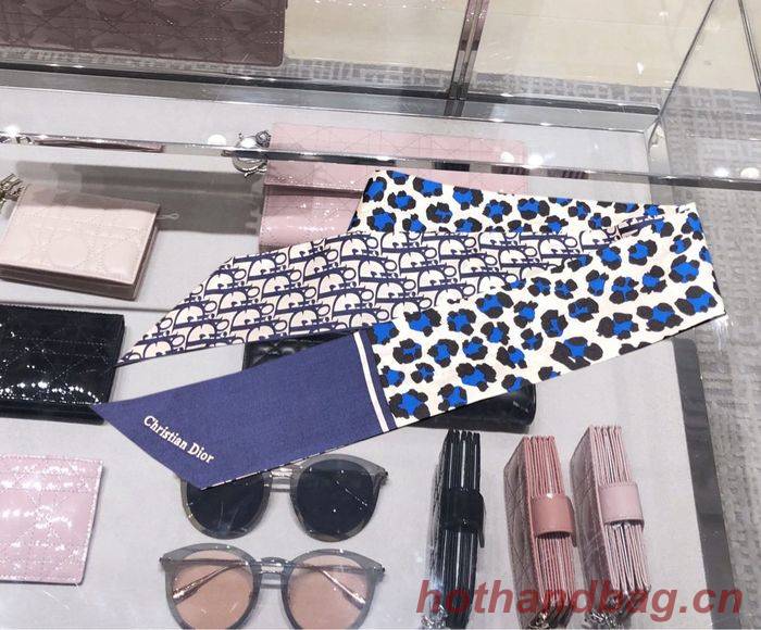 Dior Scarf DIS00015 Dior Scarf DIS00015
