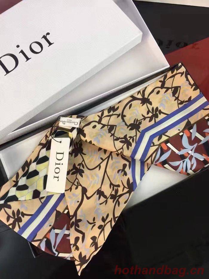 Dior Scarf DIS00017 Dior Scarf DIS00017