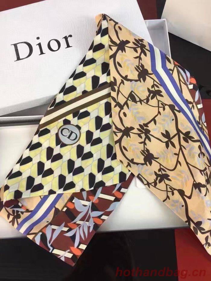 Dior Scarf DIS00017 Dior Scarf DIS00017