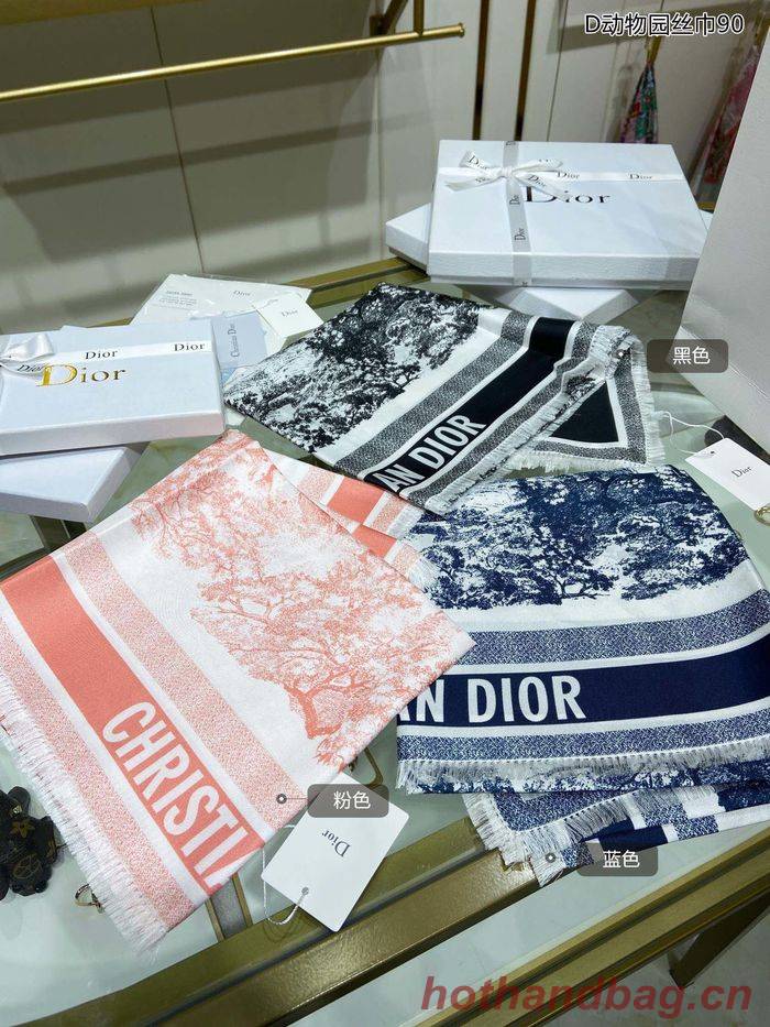 Dior Scarf DIS00025 Dior Scarf DIS00025