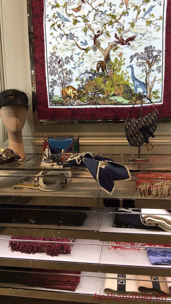 Dior Scarf DIS00056 Dior Scarf DIS00056