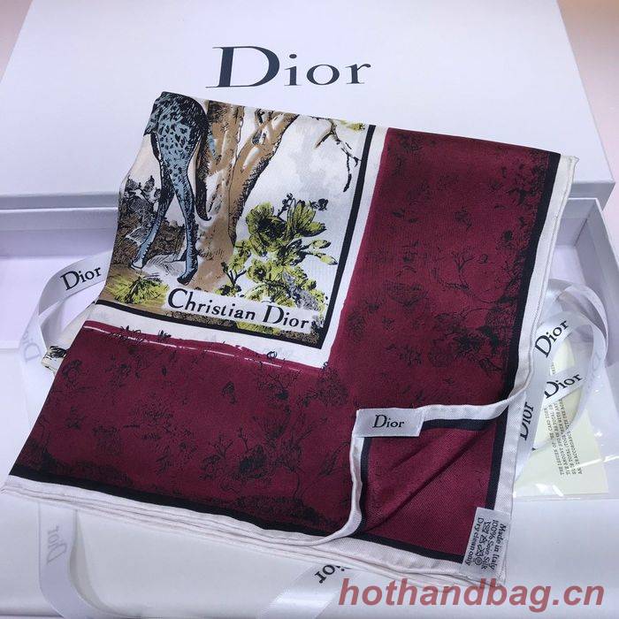 Dior Scarf DIS00056 Dior Scarf DIS00056