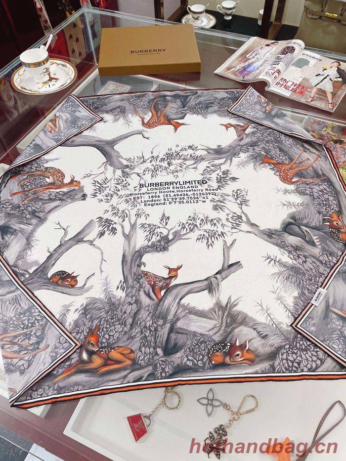 Burberry Scarf BBC00064 Burberry Scarf BBC00064