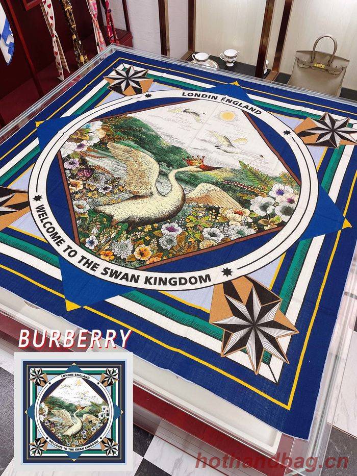 Burberry Scarf BBC00110 Burberry Scarf BBC00110