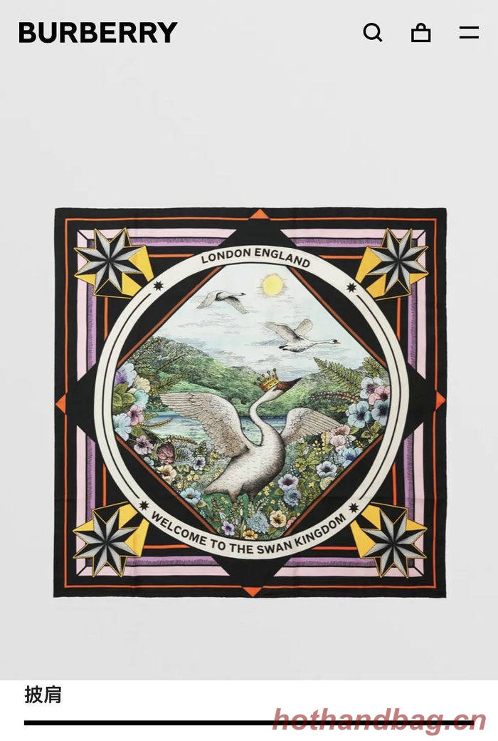 Burberry Scarf BBC00111 Burberry Scarf BBC00111