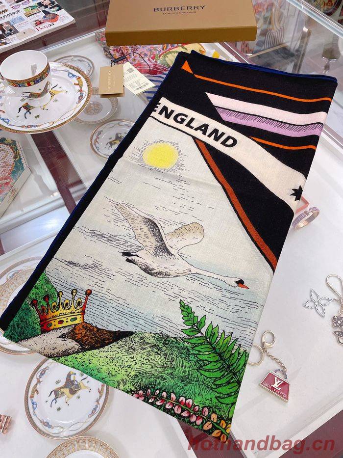 Burberry Scarf BBC00111 Burberry Scarf BBC00111