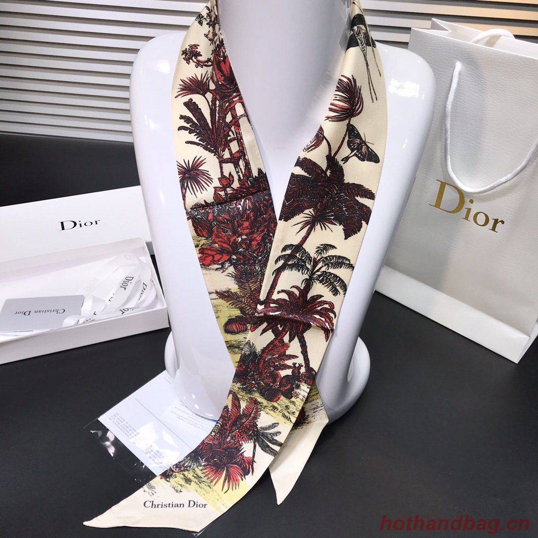 Dior Scarf DIC00003 Dior Scarf DIC00003