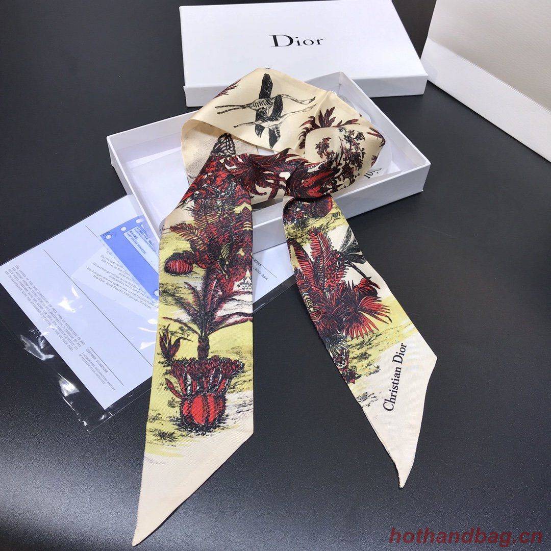Dior Scarf DIC00003 Dior Scarf DIC00003