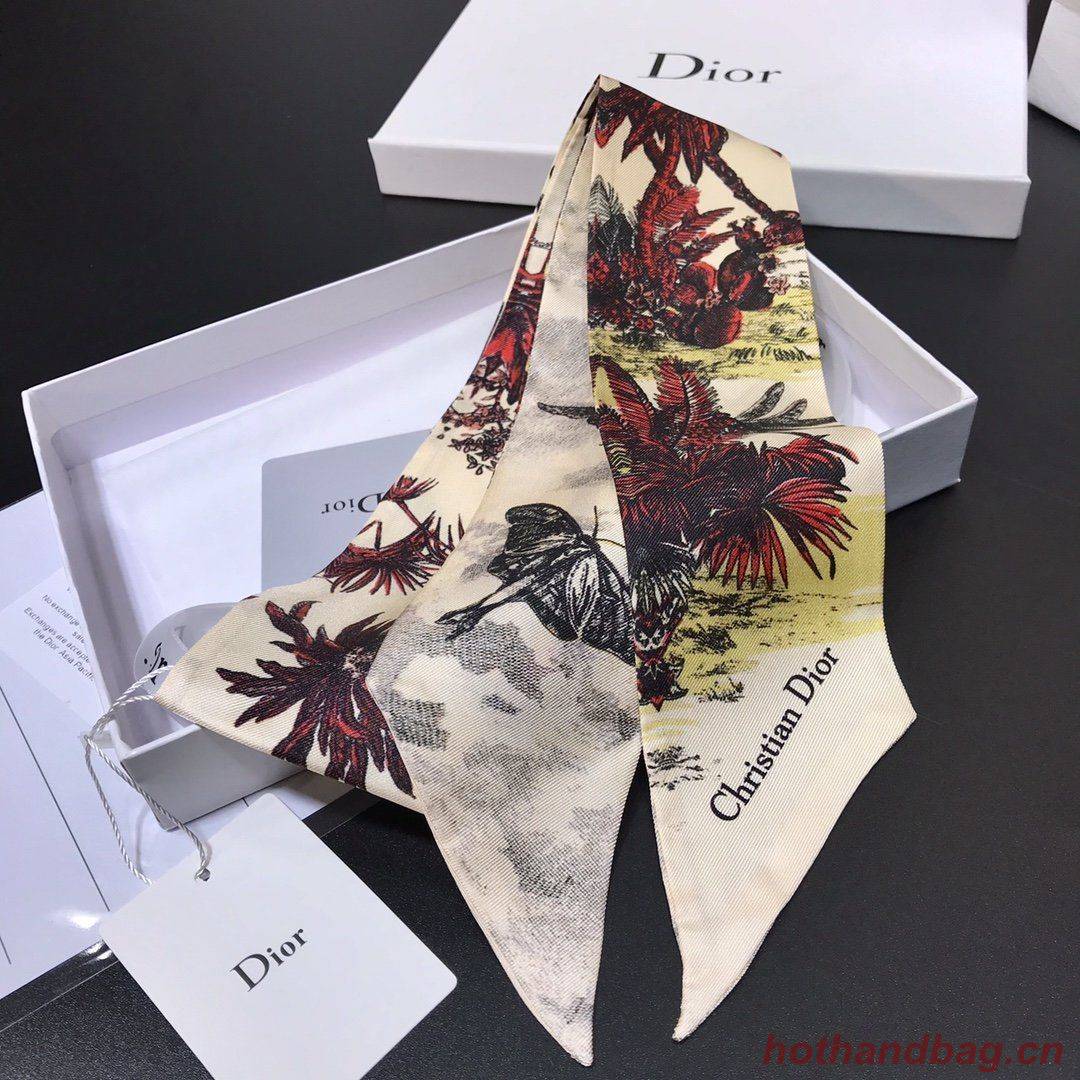 Dior Scarf DIC00003 Dior Scarf DIC00003