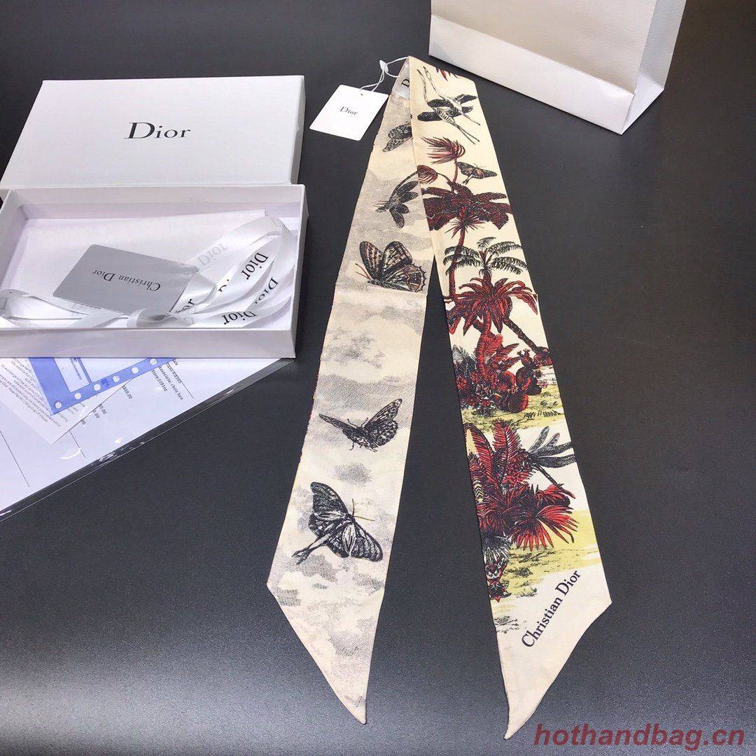 Dior Scarf DIC00003 Dior Scarf DIC00003