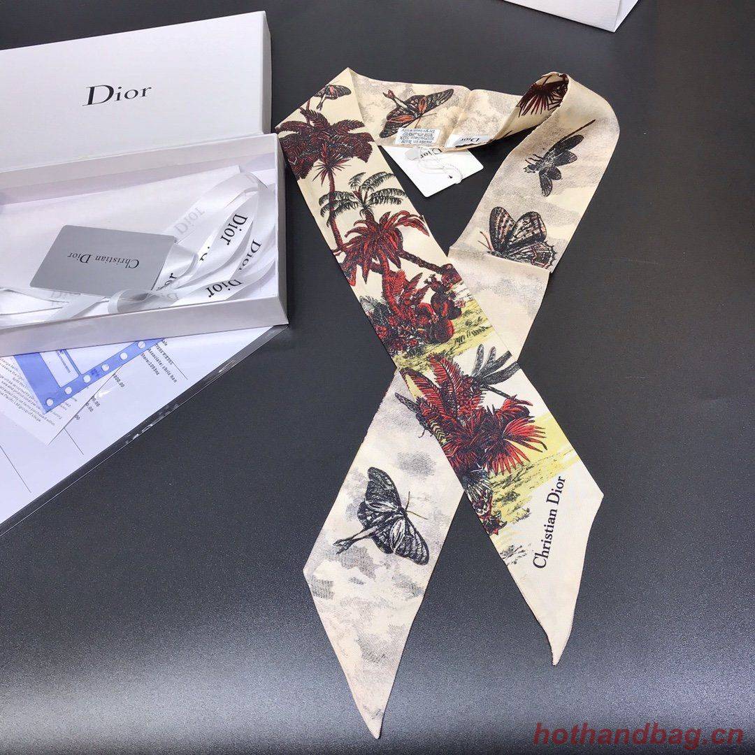 Dior Scarf DIC00003 Dior Scarf DIC00003