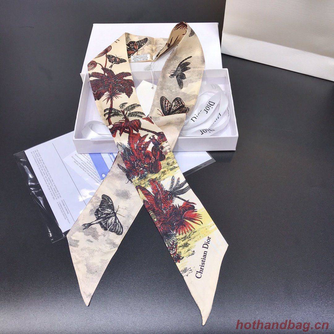 Dior Scarf DIC00003 Dior Scarf DIC00003