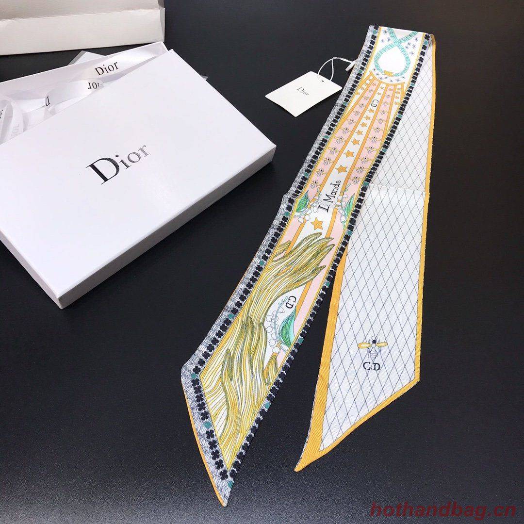 Dior Scarf DIC00008 Dior Scarf DIC00008