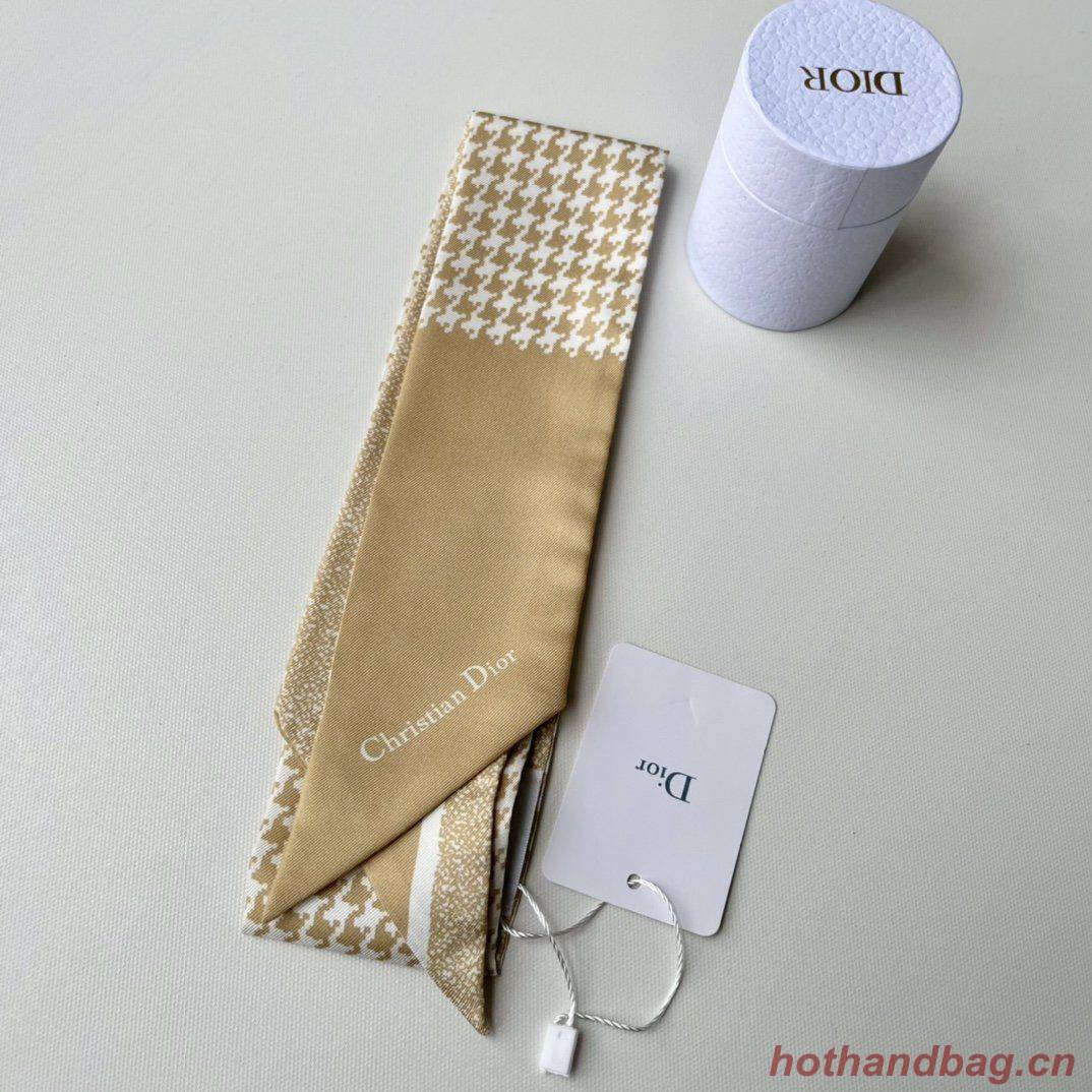 Dior Scarf DIC00013 Dior Scarf DIC00013
