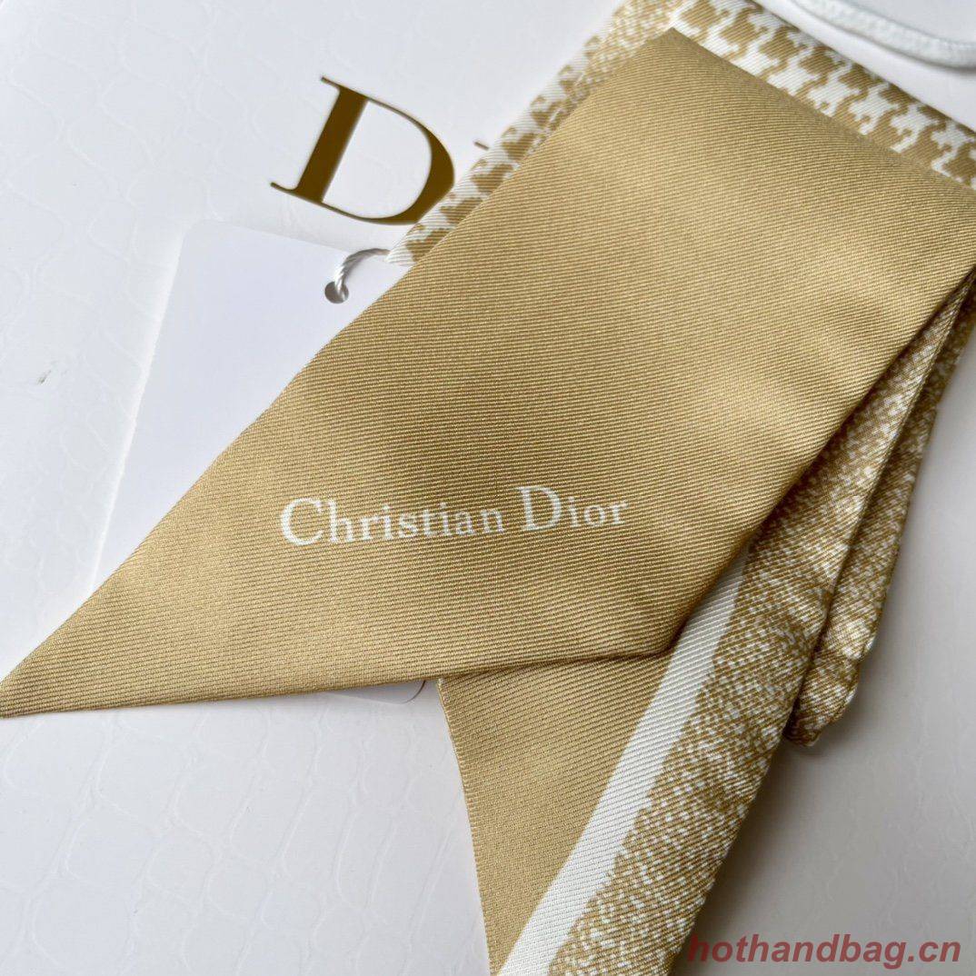 Dior Scarf DIC00013 Dior Scarf DIC00013