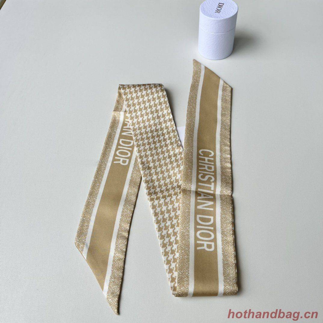 Dior Scarf DIC00013 Dior Scarf DIC00013