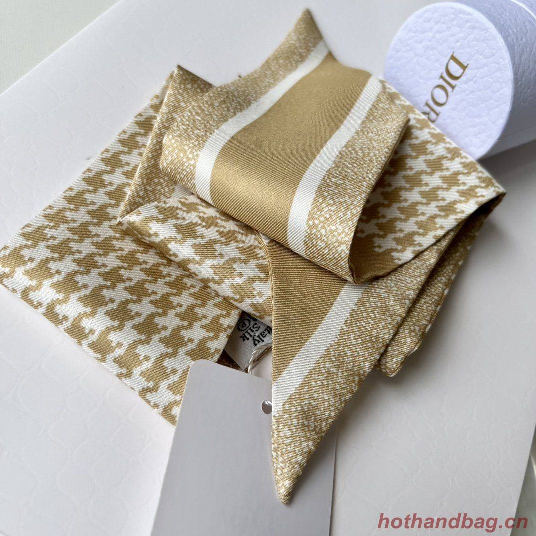 Dior Scarf DIC00013 Dior Scarf DIC00013
