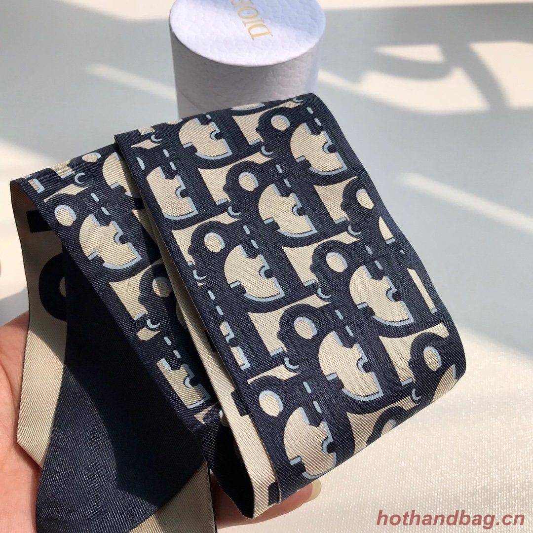 Dior Scarf DIC00020 Dior Scarf DIC00020