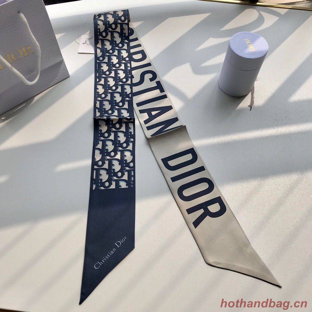 Dior Scarf DIC00020 Dior Scarf DIC00020