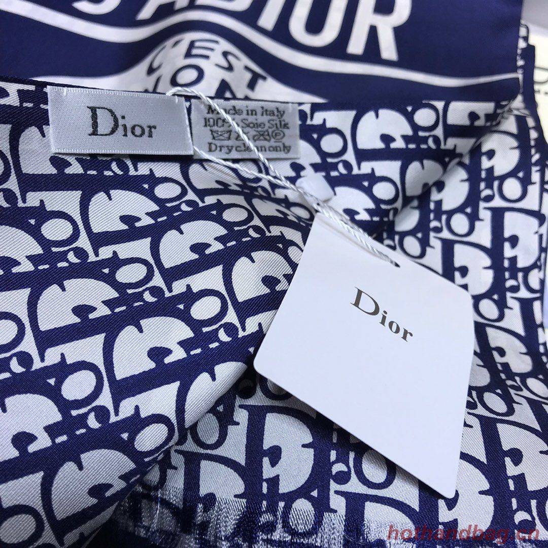 Dior Scarf DIC00025 Dior Scarf DIC00025