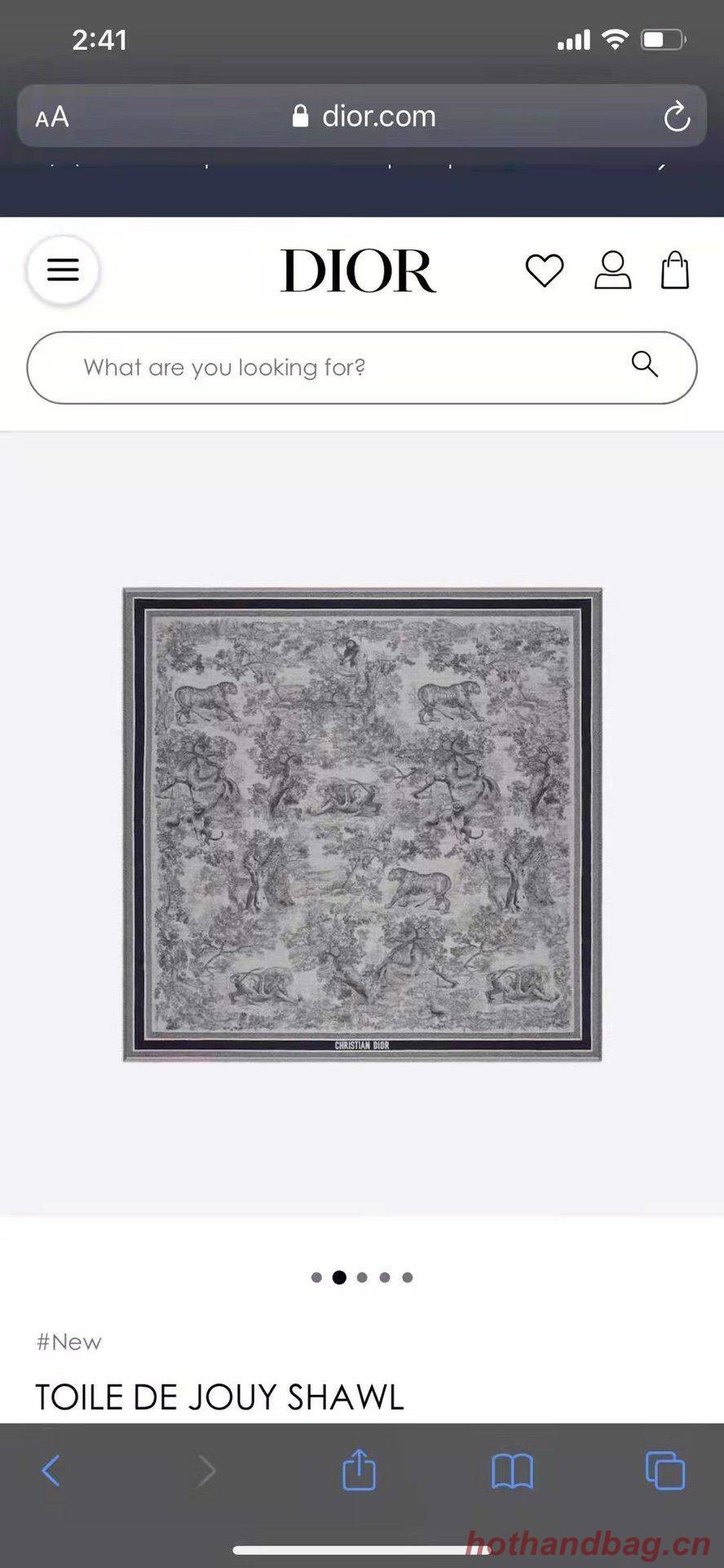 Dior Scarf DIC00116 Dior Scarf DIC00116