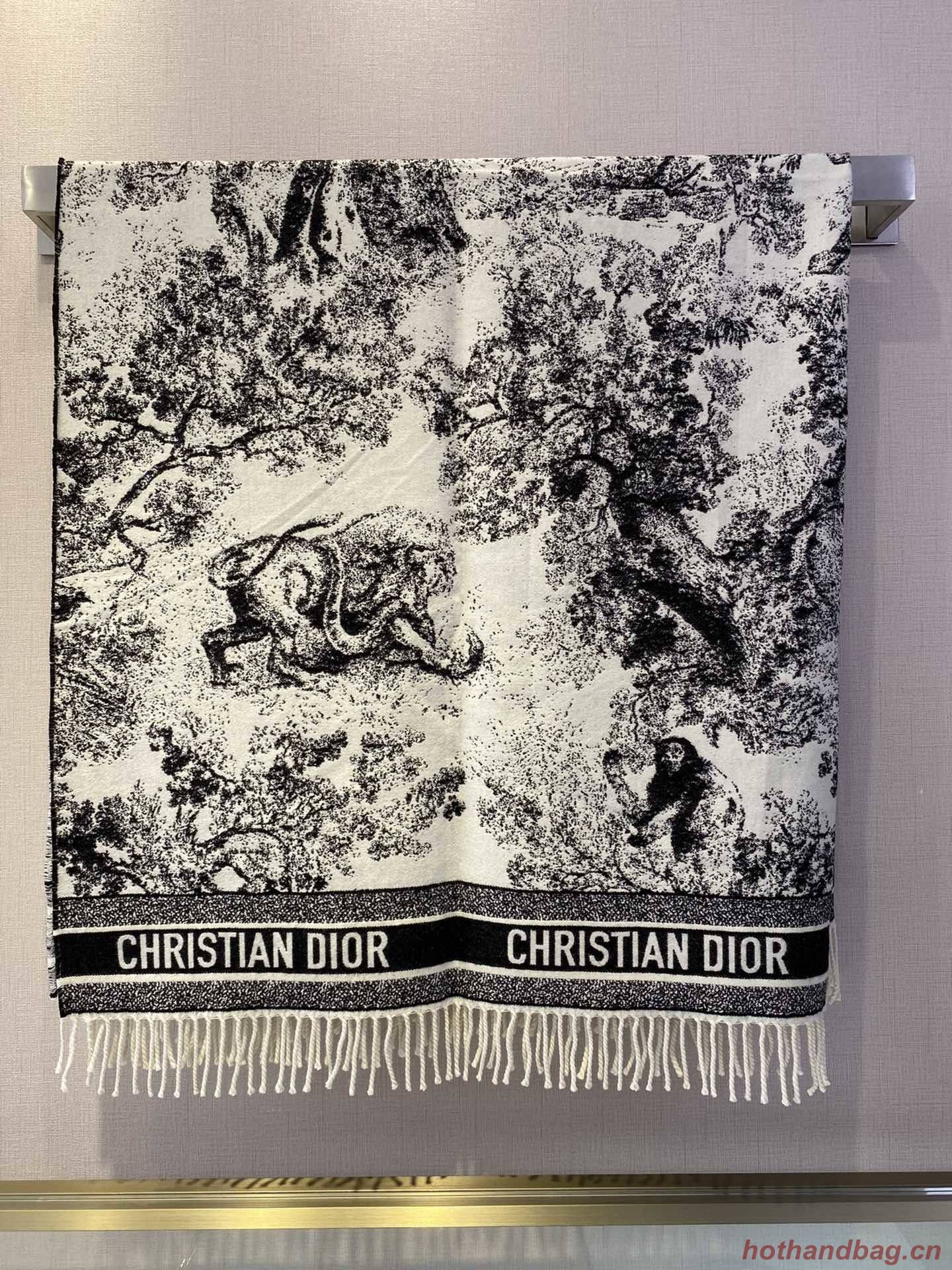 Dior Scarf DIC00139 Dior Scarf DIC00139