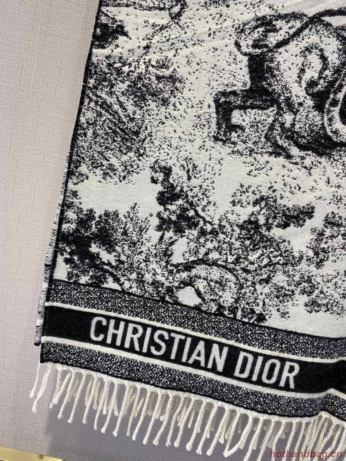 Dior Scarf DIC00139 Dior Scarf DIC00139
