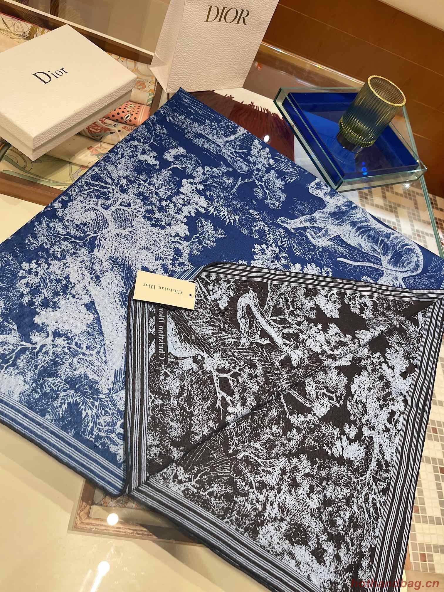 Dior Scarf DIC00146 Dior Scarf DIC00146