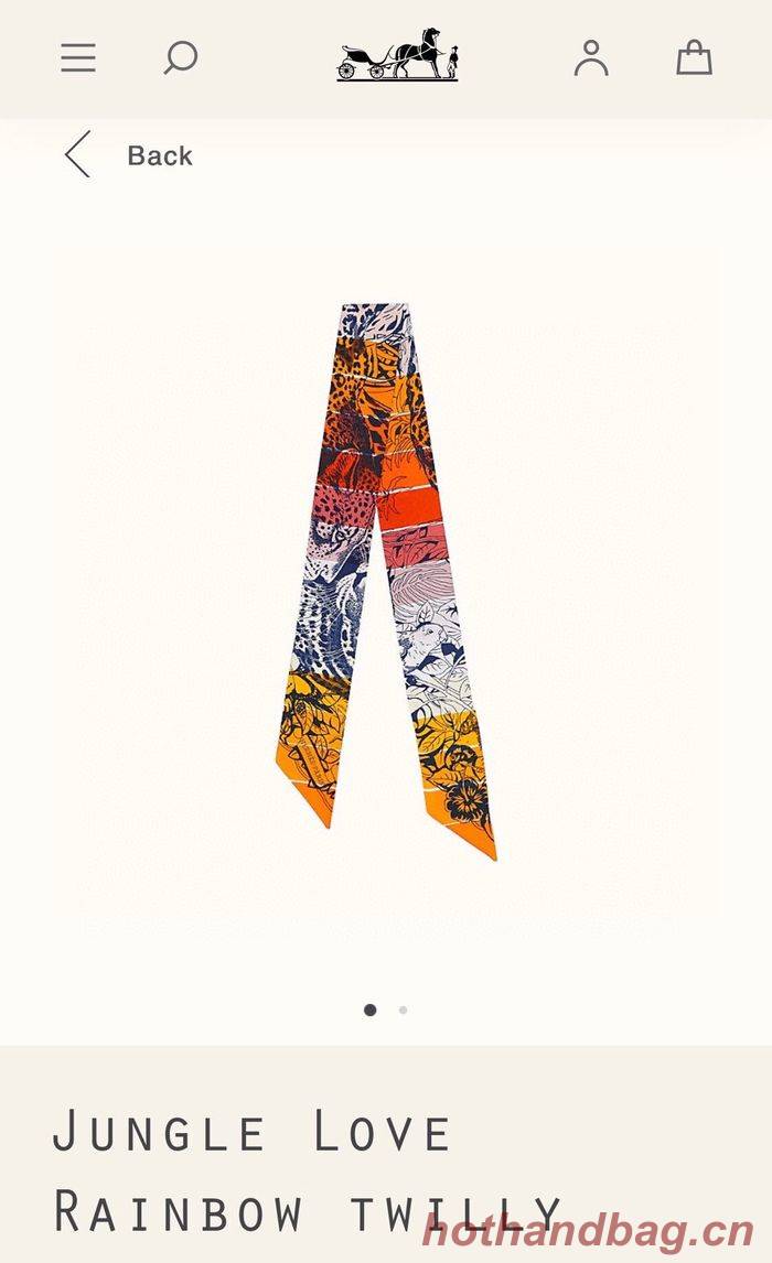 Hermes Scarf HEC00042 Hermes Scarf HEC00042
