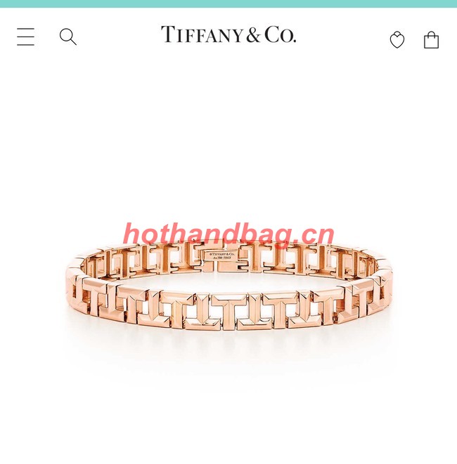 TIFFANY Bracelet CE10113