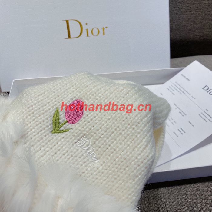Dior Hat CDH00222 Dior Hat CDH00222