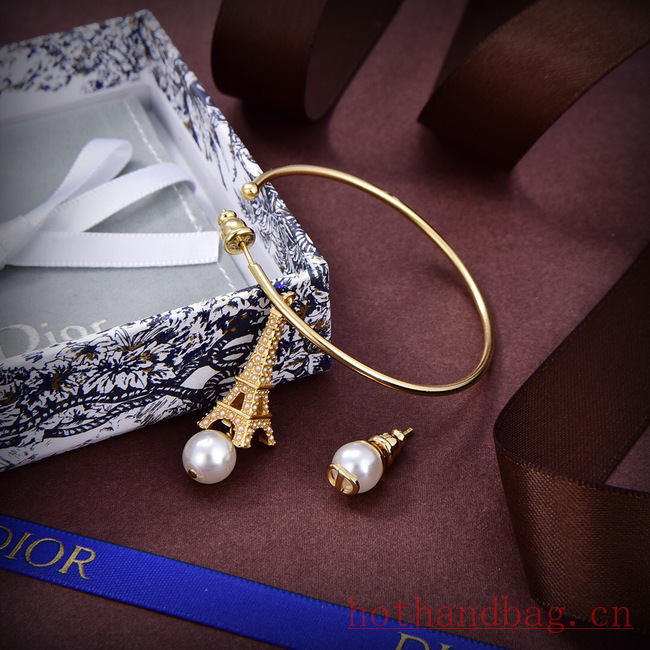 Dior Earrings CE12116 Dior Earrings CE12116