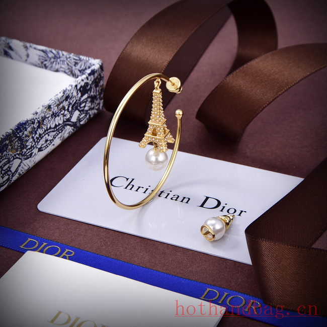 Dior Earrings CE12116 Dior Earrings CE12116