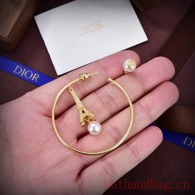 Dior Earrings CE12116 Dior Earrings CE12116