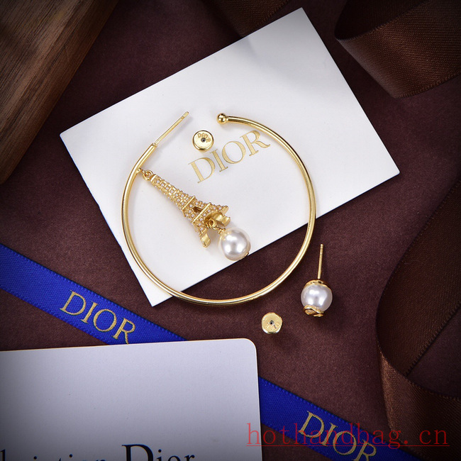 Dior Earrings CE12116 Dior Earrings CE12116